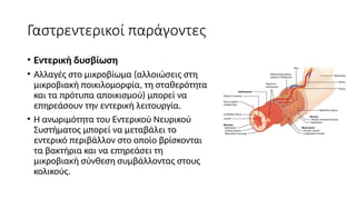 Γαστρεντερικοί παράγοντες
• Εντερική δυσβίωση
• Αλλαγές στο μικροβίωμα (αλλοιώσεις στη
μικροβιακή ποικιλομορφία, τη σταθερότητα
και τα πρότυπα αποικισμού) μπορεί να
επηρεάσουν την εντερική λειτουργία.
• Η ανωριμότητα του Εντερικού Νευρικού
Συστήματος μπορεί να μεταβάλει το
εντερικό περιβάλλον στο οποίο βρίσκονται
τα βακτήρια και να επηρεάσει τη
μικροβιακή σύνθεση συμβάλλοντας στους
κολικούς.
 