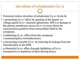 sustained rise of intracellular calcium by Jinan Atshan | PPTX