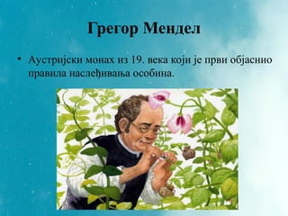Грегор Мендел
• Аустријски монах из 19. века који је први објаснио
правила наслеђивања особина.
 