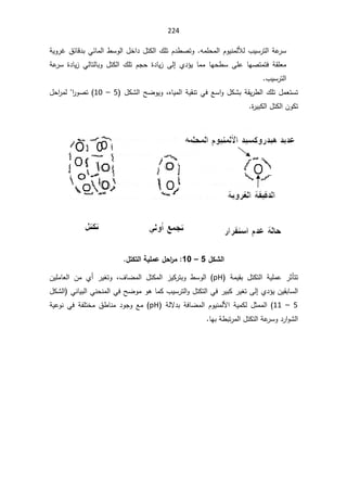 224
ƌƈƆţƈƅ§ÀÃƔƊƈƅƘƅ¨ƔŬ±śƅ§řŷ
±Ŭ

řƔÃ±Ż½œŕƁ¯ŗƓœŕƈƅ§·ŬÃƅ§¿Ŧ§¯¿śƄƅ§¾ƆśÀ¯·ŰśÃ
ŷ ŕƎŰśƈśž řƂƆŸƈ
ÀŠţ ©¯ŕƔ² Ƒƅ¥ Å¯¤Ɣ ŕƈƈ ŕƎţ·Ŭ ƑƆ

řŷ
±Ŭ ©¯ŕƔ² ƓƅŕśƅŕŗÃ ¿śƄƅ§ ¾Ɔś
¨ƔŬ±śƅ§

ƋŕƔƈƅ§řƔƂƊśƓžŶŬ§Ã¿ƄŮŗřƂƔ±·ƅ§¾Ɔś¿ƈŸśŬś
ž

¿ƄŮƅ§ŢŲÃƔÃ
5

–

10
¿ţ§
±ƈƅ§
±ÃŰś
©
±ƔŗƄƅ§¿śƄƅ§ÁÃƄś


¾ƂŬƃ¦
5

–

10
:

¾řƂřƃ¦ŗƒƄƆŵ¾š¦
°Ɔ

 řƈƔƂŗ ¿śƄśƅ§ řƔƆƈŷ ±ŝōśś
pH
¼ŕŲƈƅ§ ¿śƄƈƅ§ ²ƔƄ±śŗÃ ·ŬÃƅ§
ž

ÁƔƆƈŕŸƅ§ Áƈ Å£ ±ƔżśÃ
¿ƄŮƅ§ ƓƊŕƔŗƅ§ƓƊţƊƈƅ§ƓžŢŲÃƈÃƍŕƈƄ¨ƔŬ±śƅ§Ã¿śƄśƅ§Ɠž±ƔŗƄ±ƔżśƑƅ¥Å¯¤ƔÁƔƂŗŕŬƅ§
5

–

11
(

řƅƛ¯ŗřžŕŲƈƅ§ÀÃƔƊƈƅƗ§řƔƈƄƅ¿ŝƈƈƅ§
pH
ƆśŦƈ½·ŕƊƈ¯ÃŠÃŶƈ
řƔŷÃƊƓžřſ
ŕƎŗř·ŗś±ƈƅ§¿śƄśƅ§řŷ
±ŬÃ¯±§ÃŮƅ§

 