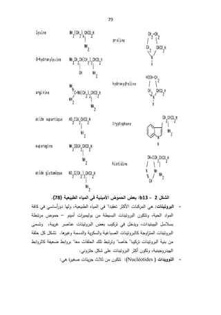 79
¾ƂŬƃ¦

2


-

13
b
ŗƒŶƒŕ¶ƃ¦ƉœƒƆƃ¦ƑżŗƒƈƒƆƕ¦µÂƆšƃ¦µŶŕ

}
78
^


-
©œƈƒřÂ°ŕƃ¦

Ɠƍ

§¯ƔƂŸś±ŝƄƗ§ªŕŗƄ±ƈƅ§


řƔŸƔŗ·ƅ§ƋŕƔƈƅ§Ɠž
ž
ŕƎƅÃ


±Ã¯
ƓŬŕŬ£

řžŕƄƓž
řƔţƅ§ ¯§Ãƈƅ§
ž

 ÁÃƄśśÃ
 Áƈ ř·ƔŬŗƅ§ ªŕƊƔśÃ±ŗƅ§
ª§
±ƔƈƔƅÃŗ

 ÃƊƔƈ£
–

ř·ŗś±ƈ ¶Ãƈţ
ª§¯ƔśŗƔŗƅ§ ¿ŬƜŬŗ
ž

řŗƔ±Ż ±ŰŕƊŷ ªŕƊƔśÃ±ŗƅ§ ¶Ÿŗ ¨ƔƄ±ś Ɠž ¿Ŧ¯ƔÃ
 ž

ƑƈŬśÃ
ŕƍ
±ƔŻÃřƈŬ¯ƅ§ÃřƔ±ƄŬƅ§ÃřƔŻŕŗŰƅ§ªŕƊƔśÃ±ŗƅŕƄřŠÃ§
²śƈƅ§ªŕƊƔśÃ±ŗƅ§


řƂƆţ¿Ƅ¿ƄŮś
ŕŗƔƄ±śªŕƊƔśÃ±ŗƅ§řƔƊŗÁƈ


ŕŰŕŦ


ªŕƂƆţƅ§¾Ɔś·ŗś±śÃ
ŕŸƈ

ŗ
řſƔŸŲ·ŗ§Ã±
·ŗ§Ã±ƅŕƄ
řƔƊƔŠÃ±¯ƔƎƅ§
ž
ƓƊÃ²Ɔţ¿ƄŮƑƆŷªŕƊƔśÃ±ŗƅ§±ŝƄ£ÁÃƄśÃ


-
ƃ¦
©¦®ƒÂÂƈ

Nucléotides
(


Ɠƍ©
±ƔżŰªŕœƔ²Š«ƜŝÁƈÁÃƄśś



 