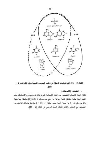 81


¾ƂŬƃ¦

2

-

15

§ƒƂ°řƑżŗƄŤ¦®ƃ¦©œŕƂ°Ɔƃ¦¿Ƌ¢
µÂƆšƃ¦½ƄřŗƒƈŕÂŗƒÂÂƈƃ¦µÂƆšƃ¦

}
39
^


-
°ÂŰŤƒƃ¦
¾ƒżÂ°ÂƄƂƃ¦
:


řƔœŕƔƈƔƄƅ§řƔƊŗƅ§½śŮś
±ÃŲŦƔƆƅ

§Áƈ
ªŕƊƔ±Ɣž±ÃŗƆƅřƔœŕƔƈƔƄƅ§řƔƊŗƅ
Porphyrine
(
ƈśÃ
ś
Ƌ°ƍ¾Ɔ
ŕƈŕƈś©
±¸ŕƊśƈřƔƂƆţřƔƊŗ©
±ƔŦƗ§


řƔƅÃ±ƔŗÄÃƊŶŗ±£Áƈřſƅ¤ƈÃ
Pyrrole
(

·ŗś±ƈ
ŕƎƊƔŗŕƈƔžř
ÀƁ±ÁÃŗ±Ƅƅŕŗ
2

Ã

5

½Ɣ±·Áŷ

řƊƔśƈ±ÃŬŠřŸŗ±£

= CH -

(
ž

ªŕœƔ²Š·ŗś±śÃ

ªÃ²ƕ§

Ɠž
±ÃŲŦƔƅ§

Ŷƈ
ÀÃƔ²Ɗżƈƅ§

¿ƄŮƅ§ƓžŢŲÃƈƅ§¯ƂŸƈƅ§¿ƄŮśƅƓœŕƊŝƅ§
2

–

16
(



 