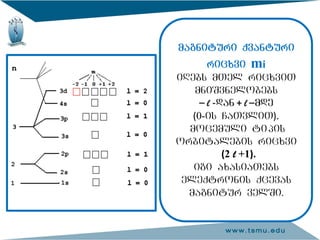 magnituri qvanturi
ricxvi mi
iRebs mTel ricxviT
mniSvnelobebs
– l -dan + l –mde
(0-is CaTvliT).
mocemuli tipis
orbitalebis ricxvi
(2 l +1).
igi axasiaTebs
eleqtronis qcevas
magnitur velSi.
 