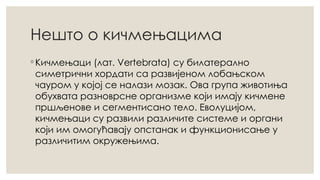 Нешто о кичмењацима
◦ Кичмењаци (лат. Vertebrata) су билатерално
симетрични хордати са развијеном лобањском
чауром у којој се налази мозак. Ова група животиња
обухвата разноврсне организме који имају кичмене
пршљенове и сегментисано тело. Еволуцијом,
кичмењаци су развили различите системе и органи
који им омогућавају опстанак и функционисање у
различитим окружењима.
 