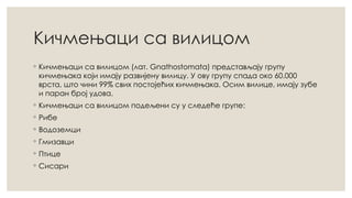 Кичмењаци са вилицом
◦ Кичмењаци са вилицом (лат. Gnathostomata) представљају групу
кичмењака који имају развијену вилицу. У ову групу спада око 60.000
врста, што чини 99% свих постојећих кичмењака. Осим вилице, имају зубе
и паран број удова.
◦ Кичмењаци са вилицом подељени су у следеће групе:
◦ Рибе
◦ Водоземци
◦ Гмизавци
◦ Птице
◦ Сисари
 