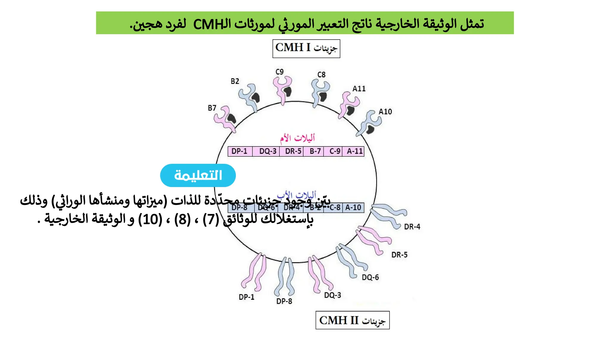 ‫ـ‬‫ل‬‫ا‬ ‫لمورثات‬ ‫يث‬‫المور‬ ‫ري‬‫ب‬‫التع‬ ‫ناتج‬ ‫الخارجية‬ ‫الوثيقة‬ ‫تمثل‬
CMH
. ‫ني‬‫هج‬ ‫لفرد‬
‫وذلك‬ ) ‫يث‬‫ا‬‫ر‬‫الو‬ ‫ومنشأها‬ ‫اتها‬‫زي‬‫(م‬ ‫للذات‬ ‫دة‬
ّ
‫محد‬ ‫جزیئات‬ ‫وجود‬ ‫نّي‬‫ب‬
( ‫للوثائق‬ ‫بإستغاللك‬
7
( ، )
8
( ، )
10
. ‫الخارجية‬ ‫الوثيقة‬‫و‬ )
 