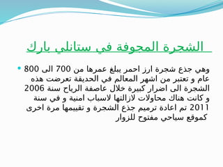 ‫بارك‬ ‫ستانلي‬ ‫في‬ ‫المجوفة‬ ‫الشجرة‬
 ‫من‬ ‫عمرها‬ ‫يبلغ‬ ‫احمر‬ ‫ارز‬ ‫شجرة‬ ‫جذع‬ ‫وهي‬
700
‫الى‬
800
‫هذه‬ ‫تعرضت‬ ‫الحديقة‬ ‫في‬ ‫المعالم‬ ‫اشهر‬ ‫من‬ ‫تعتبر‬ ‫و‬ ‫عام‬
‫سنة‬ ‫الرياح‬ ‫عاصفة‬ ‫خالل‬ ‫كبيرة‬ ‫اضرار‬ ‫الى‬ ‫الشجرة‬
2006
‫سنة‬ ‫في‬ ‫و‬ ‫امنية‬ ‫السباب‬ ‫الزالتها‬ ‫محاوالت‬ ‫هناك‬ ‫كانت‬ ‫و‬
2011
‫اخرى‬ ‫مرة‬ ‫تقييمها‬ ‫و‬ ‫الشجرة‬ ‫جذع‬ ‫ترميم‬ ‫اعادة‬ ‫تم‬
‫للزوار‬ ‫مفتوح‬ ‫سياحي‬ ‫كموقع‬
 