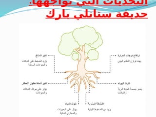 :‫تواجهها‬ ‫التي‬ ‫التحديات‬
‫بارك‬ ‫ستانلي‬ ‫حديقة‬
 
