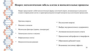 10
Некроз: патологическая гибель клеток и воспалительные процессы
Некроз представляет собой патологическую форму клеточной смерти, возникающую в результате
острого повреждения клеток и характеризующуюся потерей контроля над клеточными процессами.
Причины некроза:

Ишемия и гипоксия

Физические факторы (травма, температура)

Химические агенты и токсины

Инфекционные агенты

Иммунологические реакции

Последствия некроза:

Выброс внутриклеточного содержимого

Активация воспалительного ответа

Привлечение нейтрофилов и макрофагов

Образование рубцовой ткани

Возможные системные эффекты
 