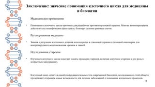12
Заключение: значение понимания клеточного цикла для медицины
и биологии
Медицинское применение

Понимание клеточного цикла критично для разработки противоопухолевой терапии. Многие химиопрепараты
действуют на специфические фазы цикла, блокируя деление раковых клеток.
Регенеративная медицина

Знания о регуляции клеточного деления используются в стволовой терапии и тканевой инженерии для
контролируемого восстановления органов и тканей.
Исследования старения

Изучение клеточного цикла помогает понять процессы старения, включая клеточное старение и его роль в
возрастных заболеваниях.
Клеточный цикл остаётся одной из фундаментальных тем современной биологии, исследования в этой области
продолжают открывать новые возможности для лечения заболеваний и понимания жизненных процессов.
 