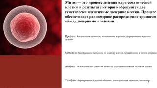 5
Митоз — это процесс деления ядра соматической
клетки, в результате которого образуются две
генетически идентичные дочерние клетки. Процесс
обеспечивает равномерное распределение хромосом
между дочерними клетками.

Профаза: Конденсация хромосом, исчезновение ядрышка, формирование веретена
деления

Метафаза: Выстраивание хромосом по экватору клетки, прикрепление к нитям веретена

Анафаза: Расхождение сестринских хроматид к противоположным полюсам клетки

Телофаза: Формирование ядерных оболочек, деконденсация хромосом, цитокинез
 