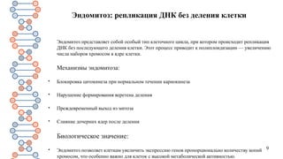 9
Эндомитоз: репликация ДНК без деления клетки
Эндомитоз представляет собой особый тип клеточного цикла, при котором происходит репликация
ДНК без последующего деления клетки. Этот процесс приводит к полиплоидизации — увеличению
числа наборов хромосом в ядре клетки.
Механизмы эндомитоза:

Блокировка цитокинеза при нормальном течении кариокинеза

Нарушение формирования веретена деления

Преждевременный выход из митоза

Слияние дочерних ядер после деления
Биологическое значение:

Эндомитоз позволяет клеткам увеличить экспрессию генов пропорционально количеству копий
хромосом, что особенно важно для клеток с высокой метаболической активностью.
 