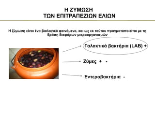 Η ΖΥΜΩΣΗ
ΤΩΝ ΕΠΙΤΡΑΠΕΖΙΩΝ ΕΛΙΩΝ
Η ζύμωση είναι ένα βιολογικό φαινόμενο, και ως εκ τούτου πραγματοποιείται με τη
δράση διαφόρων μικροοργανισμών
Γαλακτικά βακτήρια (LAB) +
Εντεροβακτήρια -
Ζύμες + -
 