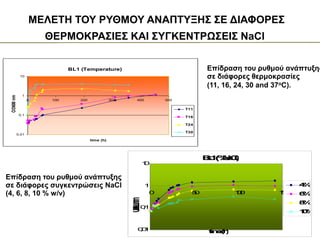 ΜΕΛΕΤΗ ΤΟΥ ΡΥΘΜΟΥ ΑΝΑΠΤΥΞΗΣ ΣΕ ΔΙΑΦΟΡΕΣ
ΘΕΡΜΟΚΡΑΣΙΕΣ ΚΑΙ ΣΥΓΚΕΝΤΡΩΣΕΙΣ NaCl
BL1 (Temperature)
0,01
0,1
1
10
0 100 200 300 400 500
time (h)
OD600
nm
T11
T16
T24
T30
Επίδραση του ρυθμού ανάπτυξης
σε διάφορες θερμοκρασίες
(11, 16, 24, 30 and 37oC).
B
L
1
(
%
N
a
C
l
)
0
,
0
1
0
,
1
1
1
0
0 5
0 1
0
0 1
5
0
t
i
m
e
(
h
)
O
D600
nm
4
%
6
%
8
%
1
0
%
Επίδραση του ρυθμού ανάπτυξης
σε διάφορες συγκεντρώσεις ΝaCl
(4, 6, 8, 10 % w/v)
 