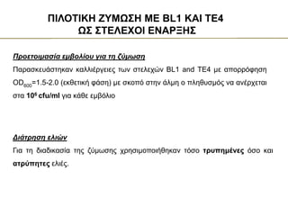 ΠΙΛΟΤΙΚΗ ΖΥΜΩΣΗ ΜΕ BL1 ΚΑΙ TE4
ΩΣ ΣΤΕΛΕΧΟΙ ΕΝΑΡΞΗΣ
Προετοιμασία εμβολίου για τη ζύμωση
Παρασκευάστηκαν καλλιέργειες των στελεχών BL1 and TE4 με απορρόφηση
OD600=1.5-2.0 (εκθετική φάση) με σκοπό στην άλμη ο πληθυσμός να ανέρχεται
στα 106 cfu/ml για κάθε εμβόλιο
Διάτρηση ελιών
Για τη διαδικασία της ζύμωσης χρησιμοποιήθηκαν τόσο τρυπημένες όσο και
ατρύπητες ελιές.
 