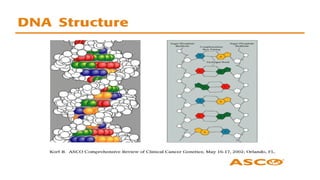 genetics introduction to basic genetics chromosomal | PPTX