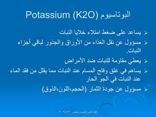 ‫البوتاسٌوم‬
(
Potassium (K2O

‫النبات‬ ‫خالٌا‬ ‫امتالء‬ ‫ضغط‬ ‫على‬ ‫ٌساعد‬

‫أجزاء‬ ً‫لبال‬ ‫والجذور‬ ‫األوراق‬ ‫من‬ ‫الغذاء‬ ‫نمل‬ ‫عن‬ ‫مسإول‬
‫النبات‬
.

‫األمراض‬ ‫ضد‬ ‫للنبات‬ ‫مماومة‬ ً‫ٌعط‬

‫الماء‬ ‫فمد‬ ‫من‬ ‫ٌملل‬ ‫مما‬ ‫النبات‬ ‫عند‬ ‫المسام‬ ‫وفتح‬ ‫غلك‬ ً‫ف‬ ‫ٌساهم‬
‫الحار‬ ‫الجو‬ ً‫ف‬ ‫النبات‬ ‫عند‬

‫الثمار‬ ‫جودة‬ ‫عن‬ ‫مسإول‬
(
‫الذوق‬،‫اللون‬،‫الحجم‬
)
‫حمص‬ ‫الخامس‬ ً‫الفن‬ ‫اللماء‬
2024/2/6
 