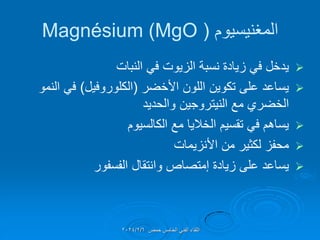 ‫المغنٌسٌوم‬
(
Magnésium (MgO

‫النبات‬ ً‫ف‬ ‫الزٌوت‬ ‫نسبة‬ ‫زٌادة‬ ً‫ف‬ ‫ٌدخل‬

‫األخضر‬ ‫اللون‬ ‫تكوٌن‬ ‫على‬ ‫ٌساعد‬
(
‫الكلوروفٌل‬
)
‫النمو‬ ً‫ف‬
‫والحدٌد‬ ‫النٌتروجٌن‬ ‫مع‬ ‫الخضري‬

‫الكالسٌوم‬ ‫مع‬ ‫الخالٌا‬ ‫تمسٌم‬ ً‫ف‬ ‫ٌساهم‬

‫األنزٌمات‬ ‫من‬ ‫لكثٌر‬ ‫محفز‬

‫زٌادة‬ ‫على‬ ‫ٌساعد‬
‫إمتصاص‬
‫الفسفور‬ ‫وانتمال‬
‫حمص‬ ‫الخامس‬ ً‫الفن‬ ‫اللماء‬
2024/2/6
 