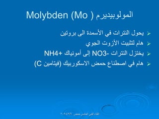‫المولوبٌدٌرم‬
(
Molybden (Mo

‫بروتٌن‬ ‫الى‬ ‫األسمدة‬ ً‫ف‬ ‫النترات‬ ‫ٌحول‬

‫الجوي‬ ‫األزوت‬ ‫لتثبٌت‬ ‫هام‬

‫النترات‬ ‫ٌختزل‬
-
NO3
‫أمونٌان‬ ‫إلى‬
+
NH4

‫حمض‬ ‫اصطناع‬ ً‫ف‬ ‫هام‬
‫االسكوربٌن‬
(
‫فٌتامٌن‬
C
)
‫حمص‬ ‫الخامس‬ ً‫الفن‬ ‫اللماء‬
2024/2/6
 