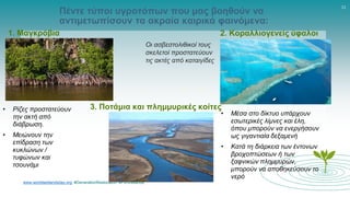 www.worldwetlandsday.org #GenerationRestoration #ForWetlands
11
Πέντε τύποι υγροτόπων που μας βοηθούν να
αντιμετωπίσουν τα ακραία καιρικά φαινόμενα:
1. Μαγκρόβια 2. Κοραλλιογενείς ύφαλοι
3. Ποτάμια και πλημμυρικές κοίτες
• Ρίζες προστατεύουν
την ακτή από
διάβρωση.
• Μειώνουν την
επίδραση των
κυκλώνων /
τυφώνων και
τσουνάμι
Οι ασβεστολιθικοί τους
σκελετοί προστατεύουν
τις ακτές από καταιγίδες
• Μέσα στο δίκτυο υπάρχουν
εσωτερικές λίμνες και έλη,
όπου μπορούν να ενεργήσουν
ως γιγαντιαία δεξαμενή
• Κατά τη διάρκεια των έντονων
βροχοπτώσεων ή των
ξαφνικών πλημμυρών,
μπορούν να αποθηκεύσουν το
νερό
 