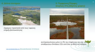 www.worldwetlandsday.org #GenerationRestoration #ForWetlands
12
4. Δέλτα ποταμών 5. Τυρφώνες/Τύρφες
(κυρίως στις βόρειες χώρες)
παρέχουν προστασία από τους τυφώνες,
στήριξη βιοποικιλότητας
αντιπροσωπεύουν μόνο το 3% της επιφάνειας της γης, ωστόσο
αποθηκεύουν διπλάσιο CO2 από όλα τα δάση του κόσμου.
 