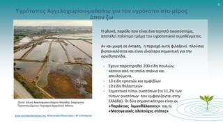 www.worldwetlandsday.org #GenerationRestoration #ForWetlands
15
Υγρότοπος Αγγελοχωρίου-μαθαίνω για τον υγρότοπο στο μέρος
όπου ζω
Φωτό: Αλυκή Αγγελοχωρίου/Αρχείο Μονάδας Διαχείρισης
Προστατευόμενων Περιοχών Θερμαϊκού Κόλπου
Η αλυκή, παρόλο που είναι ένα τεχνητό οικοσύστημα,
αποτελεί πολύτιμο τμήμα του υγροτοπικού συμπλέγματος.
Αν και μικρή σε έκταση, η περιοχή αυτή φιλοξενεί πλούσια
βιοποικιλότητα και είναι ιδιαίτερα σημαντική για την
ορνιθοπανίδα.
- Έχουν παρατηρηθεί 200 είδη πουλιών,
κάποια από τα οποία σπάνια και
απειλούμενα.
- 13 είδη ερπετών και αμφιβίων
- 10 είδη θηλαστικών
- Σημαντικοί τύποι οικοτόπων (το 11,2% των
τύπων οικοτόπων που εμφανίζονται στην
Ελλάδα). Οι δύο σημαντικότεροι είναι οι
«Παράκτιες λιμνοθάλασσες» και οι
«Μεσογειακές αλατούχες στέπες»
 