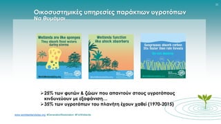 www.worldwetlandsday.org #GenerationRestoration #ForWetlands
21
Οικοσυστημικές υπηρεσίες παράκτιων υγροτόπων
Να θυμάμαι…
25% των φυτών & ζώων που απαντούν στους υγροτόπους
κινδυνεύουν με εξαφάνιση…
35% των υγροτόπων του πλανήτη έχουν χαθεί (1970-2015)
 