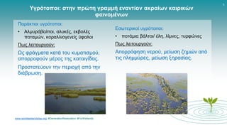 www.worldwetlandsday.org #GenerationRestoration #ForWetlands
5
Υγρότοποι: στην πρώτη γραμμή εναντίον ακραίων καιρικών
φαινομένων
Παράκτιοι υγρότοποι:
• Αλμυρόβαλτοι, αλυκές, εκβολές
ποταμών, κοραλλιογενείς ύφαλοι
Πως λειτουργούν:
Ως φράγματα κατά του κυματισμού,
απορροφούν μέρος της καταιγίδας.
Προστατεύουν την περιοχή από την
διάβρωση.
Εσωτερικοί υγρότοποι:
• ποτάμια βάλτοι/ έλη, λίμνες, τυρφώνες
Πως λειτουργούν:
Απορρόφηση νερού, μείωση ζημιών από
τις πλημμύρες, μείωση ξηρασίας.
 