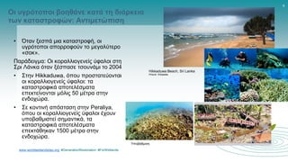 www.worldwetlandsday.org #GenerationRestoration #ForWetlands
9
Οι υγρότοποι βοηθάνε κατά τη διάρκεια
των καταστροφών: Αντιμετώπιση
• Όταν ξεσπά μια καταστροφή, οι
υγρότοποι απορροφούν το μεγαλύτερο
«σοκ».
Παράδειγμα: Οι κοραλλιογενείς ύφαλοι στη
Σρι Λάνκα όταν ξέσπασε τσουνάμι το 2004
• Στην Hikkaduwa, όπου προστατεύονται
οι κοραλλιογενείς ύφαλοι: τα
καταστροφικά αποτελέσματα
επεκτείνονται μόλις 50 μέτρα στην
ενδοχώρα.
• Σε κοντινή απόσταση στην Peraliya,
όπου οι κοραλλιογενείς ύφαλοι έχουν
υποβαθμιστεί σημαντικά, τα
καταστροφικά αποτελέσματα
επεκτάθηκαν 1500 μέτρα στην
ενδοχώρα.
Hikkaduwa Beach, Sri Lanka
Picture: Wikipedia
Υποβάθμιση
 