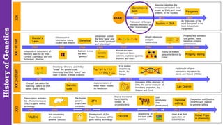 History
of
Genetics
 