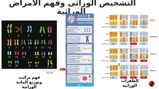 ‫األمراض‬ ‫وفهم‬ ‫الوراثى‬ ‫التشخيص‬
‫الوراثية‬
‫تركيب‬ ‫فهم‬
‫المادة‬ ‫وتوزيع‬
‫الوراثية‬
‫الطفرات‬
‫الوراثية‬
 