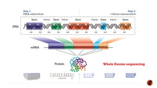 Whole Exome sequencing
 