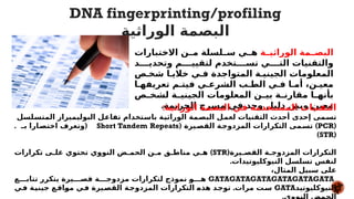 DNA fingerprinting/profiling
‫الوراثية‬ ‫البصمة‬
‫*ة‬
*‫الوراثي‬ ‫*مة‬
*‫البص‬
‫االختبارات‬ ‫*ن‬
*‫م‬ ‫*لسلة‬
*‫س‬ ‫*ي‬
*‫ه‬
‫وتحدي****د‬ ‫لتقيي****م‬ ‫تس****تخدم‬ ‫الت****ي‬ ‫والتقنيات‬
‫شخ*ص‬ ‫خالي*ا‬ ‫ف*ي‬ ‫المتواجدة‬ ‫الجيني*ة‬ ‫المعلومات‬
‫تعريفه*ا‬ ‫فيت*م‬ ‫الشرع*ي‬ ‫الط*ب‬ ‫ف*ي‬ ‫أم*ا‬ ،‫معي*ن‬
‫*ص‬
*‫لشخ‬ ‫*ة‬
*‫الجيني‬ ‫المعلومات‬ ‫*ن‬
*‫بي‬ ‫*ة‬
*‫مقارن‬ ‫*ا‬
*‫بأنه‬
.‫الجريمة‬ ‫مسرح‬ ‫في‬ ‫وجد‬ ‫دليل‬ ‫وبين‬ ‫معين‬
:‫الوراثية‬ ‫البصمة‬ ‫في‬ ‫المستخدمة‬ ‫التقنيات‬
‫*لسل‬
‫س‬‫المت‬ ‫البوليميراز‬ ‫*ل‬
‫ع‬‫تفا‬ ‫*تخدام‬
‫س‬‫با‬ ‫*ة‬
‫ي‬‫الوراث‬ ‫*مة‬
‫ص‬‫الب‬ ‫*ل‬
‫م‬‫لع‬ ‫التقنيات‬ ‫أحدث‬ ‫إحدى‬ ‫*مى‬
‫س‬‫ت‬
(
PCR
( )
‫*يرة‬
‫القص‬ ‫*ة‬
‫ج‬‫المزدو‬ ‫التكرارات‬ ‫*مى‬
‫س‬‫ت‬
Short Tandem Repeats
. (
‫بـ‬ ‫*ارا‬
‫اختص‬ ‫وتعرف‬
(
STR
)
(‫*يرة‬
*‫القص‬ ‫*ة‬
*‫المزدوج‬ ‫التكرارات‬
STR
)
‫تكرارات‬ ‫*ى‬
*‫عل‬ ‫تحتوي‬ ‫النووي‬ ‫*ض‬
*‫الحم‬ ‫*ن‬
*‫م‬ ‫*ق‬
*‫مناط‬ ‫*ي‬
*‫ه‬
.‫النيوكليوتيدات‬ ‫تسلسل‬ ‫لنفس‬
،‫المثال‬ ‫سبيل‬ ‫على‬
GATAGATAGATAGATAGATAGATA
‫تتاب***ع‬ ‫يتكرر‬ ‫قص***يرة‬ ‫مزدوج***ة‬ ‫لتكرارات‬ ‫نموذج‬ *
‫و‬***‫ه‬
‫النيوكليوتيد‬
GATA
.
‫*ي‬
‫ف‬ ‫*ة‬
‫ي‬‫جين‬ ‫*ع‬
‫ق‬‫*ا‬
‫و‬‫م‬ ‫*ي‬
‫ف‬ ‫*يرة‬
‫ص‬‫الق‬ ‫*ة‬
‫ج‬‫المزدو‬ ‫التكرارات‬ *
‫ه‬‫هذ‬ ‫*د‬
‫ج‬‫تو‬ ‫مرات‬ ‫*ت‬
‫س‬
 