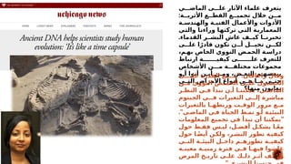 ‫الماض***ي‬ ‫عل***ى‬ ‫اآلثار‬ ‫علماء‬ ‫يتعرف‬
:‫األثري**ة‬ ‫القط**ع‬ ‫تجمي**ع‬ ‫خالل‬ ‫م**ن‬
‫والهندس*ة‬ ‫الفني*ة‬ ‫واألعمال‬ ‫األدوات‬
‫*ي‬
‫ت‬‫وال‬ ‫*ا‬
‫ن‬‫وراء‬ ‫*ا‬
‫ه‬‫تركت‬ ‫*ي‬
‫ت‬‫ال‬ ‫*ة‬
‫ي‬‫المعمار‬
.‫القدماء‬ ‫البش**ر‬ ‫عاش‬ ‫كي**ف‬ ‫تخبرن**ا‬
‫عل***ى‬ ‫ا‬ً‫قادر‬ ‫تكون‬ ‫أ***ن‬ ‫تخي***ل‬ ‫لك***ن‬
،‫به*م‬ ‫الخاص‬ ‫النووي‬ ‫الحم*ض‬ ‫دراس*ة‬
‫ارتباط‬ ‫كيفي*******ة‬ ‫عل*******ى‬ ‫للتعرف‬
‫األشخاص‬ ‫م***ن‬ ‫مختلف***ة‬ ‫مجموعات‬
‫أ*و‬ ‫أتوا‬ ‫أي*ن‬ ‫وم*ن‬ ،‫البع*ض‬ ‫ببعضه*م‬
‫الت**ي‬ ‫األمراض‬ ‫أنواع‬ ‫ه**ي‬ ‫م**ا‬ ‫حت**ى‬
‫منها؟‬ ‫يعانون‬
" :
‫عل****ى‬ ‫القدرة‬ ‫م****ع‬ ‫راغافان‬ ‫وقال‬
‫*ن‬
*‫م‬ ‫النووي‬ ‫*ض‬
*‫الحم‬ ‫*ى‬
*‫عل‬ ‫*ول‬
*‫الحص‬
‫النظ*ر‬ ‫ف*ي‬ ‫نبدأ‬ ‫أ*ن‬ ‫يمكنن*ا‬ ،‫الماض*ي‬
‫الجينوم‬ ‫ف**ي‬ ‫التغيرات‬ ‫إل**ى‬ ‫مباشرة‬
‫بالتغيرات‬ ‫*ا‬
*‫وربطه‬ ‫*ت‬
*‫الوق‬ ‫مرور‬ ‫*ع‬
*‫م‬
."‫الماض*ي‬ ‫ف*ي‬ ‫الحياة‬ ‫نم*ط‬ ‫أ*و‬ ‫البيئي*ة‬
"
‫*مات‬
‫و‬‫المعل‬ ‫تجميع‬ ‫في‬ ‫نبدأ‬ ‫أن‬ ‫يمكننا‬
‫حول‬ ‫فق*ط‬ ‫لي*س‬ ،‫أفض*ل‬ ‫بشك*ل‬ ‫*ا‬ً‫ع‬‫م‬
‫حول‬ ‫*ا‬
ً‫ض‬‫أي‬ ‫*ن‬
‫ولك‬ ،‫*ر‬
‫البش‬ ‫تطور‬ ‫*ة‬
‫كيفي‬
‫*ي‬
*‫الت‬ ‫*ة‬
*‫البيئ‬ ‫*ل‬
*‫داخ‬ ‫*م‬
*‫*ره‬
‫و‬‫تط‬ ‫*ة‬
*‫كيفي‬
‫*ة‬
*‫معين‬ ‫*ة‬
*‫زمني‬ ‫فترة‬ ‫*ي‬
*‫ف‬ ‫*ا‬
*‫فيه‬ ‫عاشوا‬
‫المرض‬ ‫*خ‬
*‫تاري‬ ‫*ى‬
*‫عل‬ ‫*ك‬
*‫ذل‬ ‫*ر‬
*‫أث‬ ‫*ف‬
*‫وكي‬
 