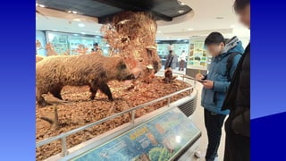 Επίσκεψη στο ΚΕΠΕΑ Παρανέστι-Ιανουάριος 2026.pptx