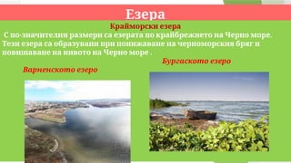 Езера
Крайморски езера
- .
С по значителни размери са езерата по крайбрежието на Черно море
Тези езера са образувани при понижаване на черноморския бряг и
.
повишаване на нивото на Черно море
Бургаското езеро
Варненското езеро
 