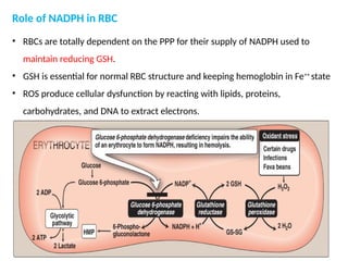 Fe Comprehensive Overview of Carbohydrate Metabolism and Glycolysis ...