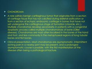 Comprehensive Overview of Bone Tumors: Classification, Diagnosis, and ...