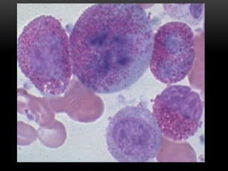 Comprehensive Overview of Human Blood Components and Functions | PPTX