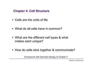 Comprehensive Overview of Cell Structure and Function in Biology | PDF