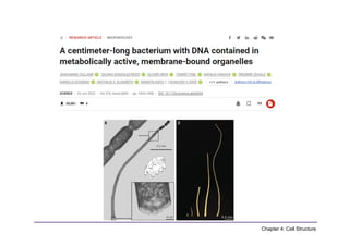 Comprehensive Overview of Cell Structure and Function in Biology | PDF