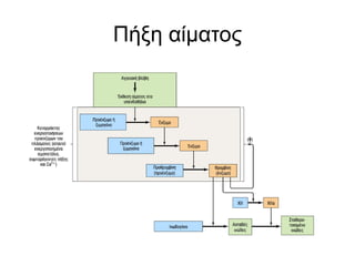 Comprehensive Overview of Human Blood Components and Functions | PPTX