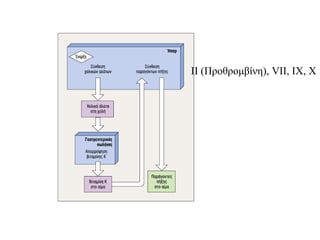 Comprehensive Overview of Human Blood Components and Functions | PPTX