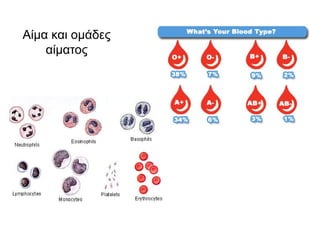 Comprehensive Overview of Human Blood Components and Functions | PPTX