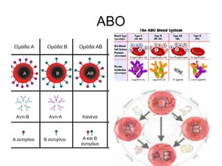 Comprehensive Overview of Human Blood Components and Functions | PPTX