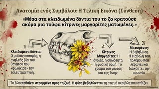 Στράτης Μυριβήλης, Τα ζα. Η ανατομία της πολεμικής φρίκης
