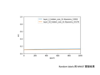 Random labels 的 MNIST 實驗結果 | PPTX