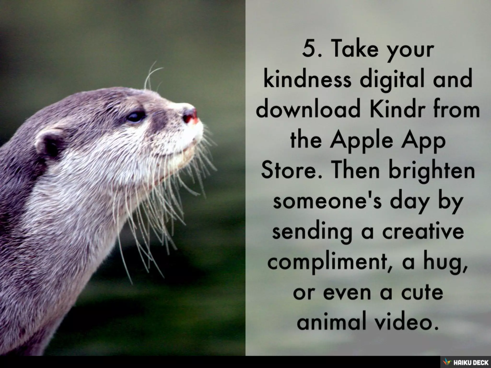 Random Acts Of Kindness