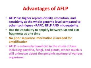 Advantages of AFLP
• AFLP has higher reproducibility, resolution, and
sensitivity at the whole genome level compared to
other techniques –RAPD, RFLP AND microsatelite
• Has the capability to amplify between 50 and 100
fragments at one time
• No prior sequence information is needed for
amplification
• AFLP is extremely beneficial in the study of taxa
including bacteria, fungi, and plants, where much is
still unknown about the genomic makeup of various
organisms.
 