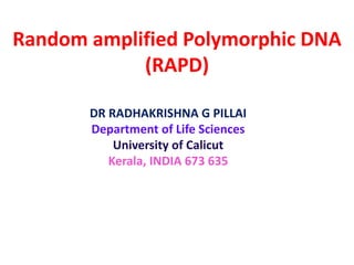 Random amplified Polymorphic DNA
(RAPD)
DR RADHAKRISHNA G PILLAI
Department of Life Sciences
University of Calicut
Kerala, INDIA 673 635
 